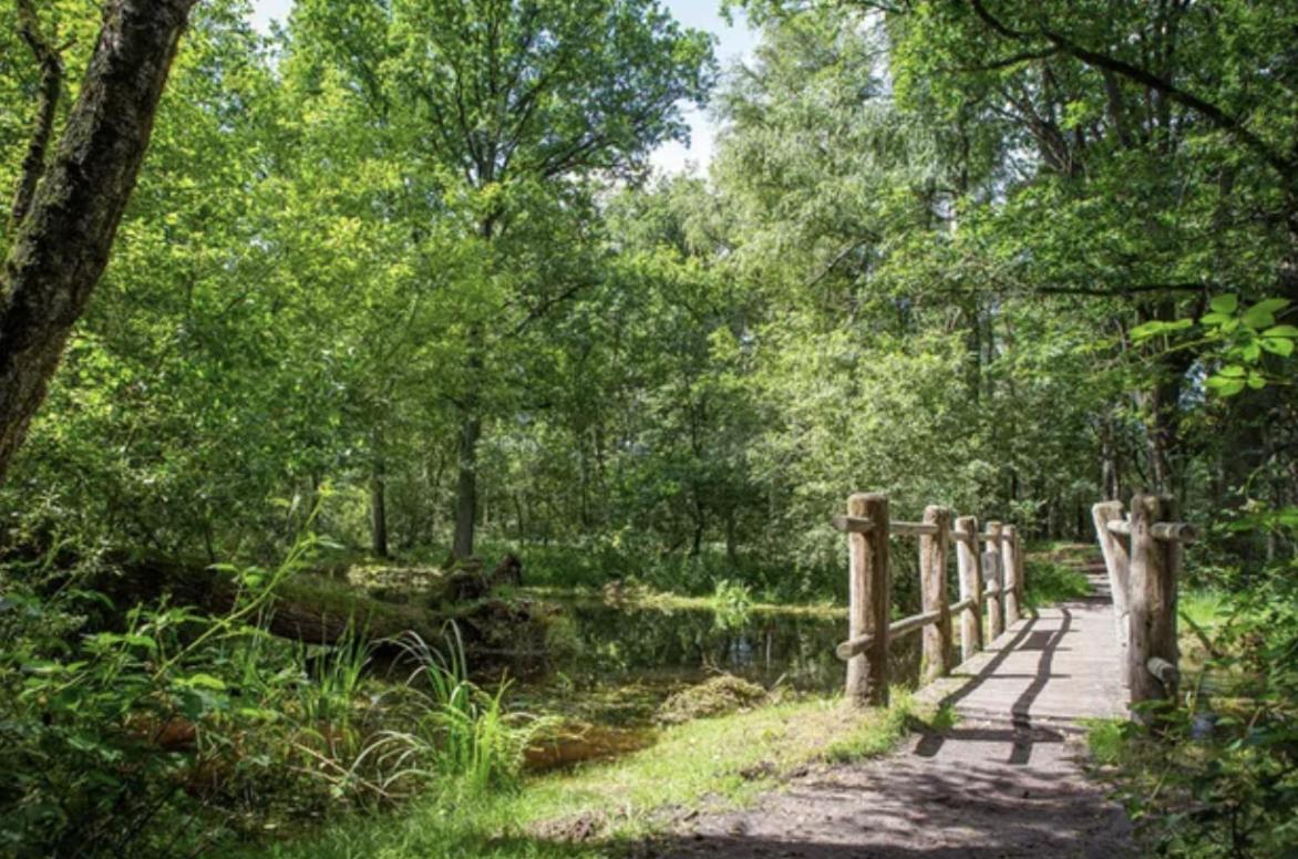 29, Natuurlijk Gelegen Nabij Efteling En Beekse Bergen, Airco & Prive Parkeren Inbegrepen! Villa Oisterwijk Exterior photo